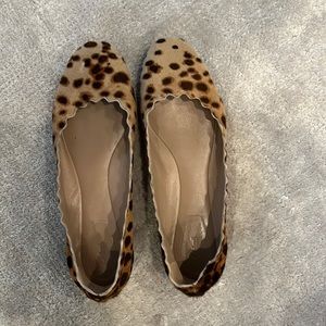 Pre-worn Chloe leopard flats. Size 37